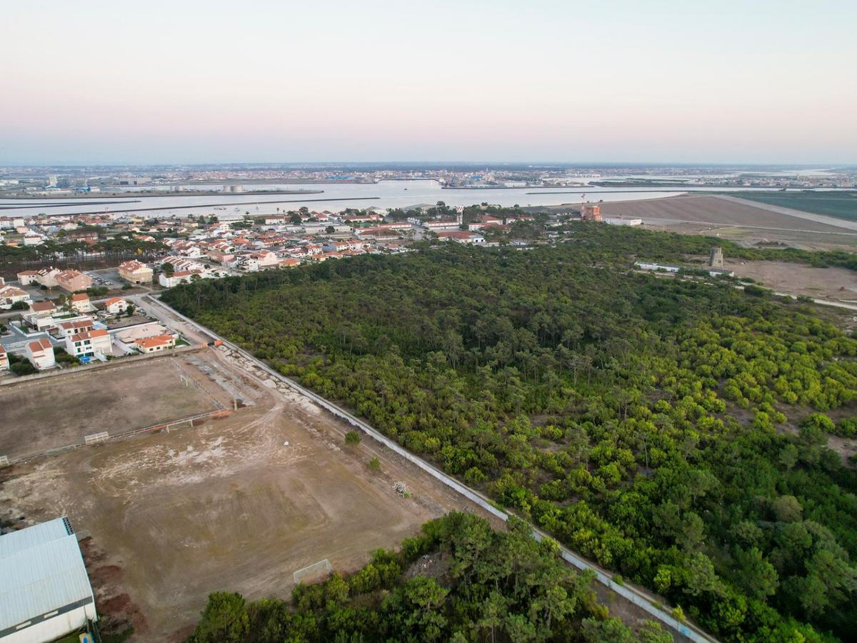Apartamento Encantador Perto Da Praia, Em Sao Jacinto Appartement Aveiro Buitenkant foto